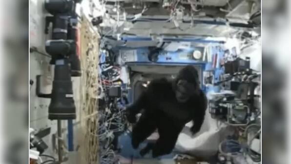 Viral video shows astronaut scaring off crew member in gorilla suit during space flight; watch