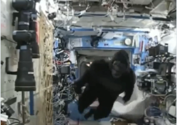 Viral video shows astronaut scaring off crew member in gorilla suit during space flight; watch Viral video shows astronaut scaring off crew member in gorilla suit during space flight; watch
