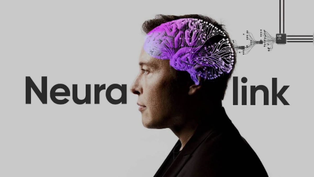 Musk’s Neuralink in trouble for mishandling contaminated devices removed from monkey brains