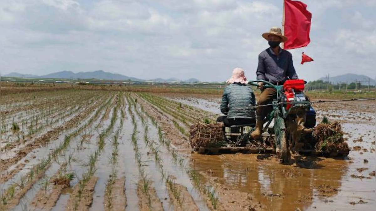 North Korea chronic food shortage worsens amid COVID-19, but no famine yet