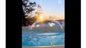 Watch: Ice crystals form on bubble in real time; internet stunned