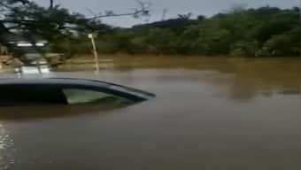 New Zealand: Driver takes his bus through 'shoulder-deep' floodwaters; video goes viral