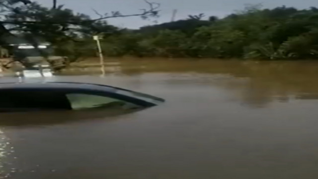 New Zealand: Driver takes his bus through 'shoulder-deep' floodwaters; video goes viral New Zealand: Driver takes his bus through 'shoulder-deep' floodwaters; video goes viral