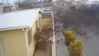 Viral video shows hundreds of birds falling to their death from sky in Mexico
