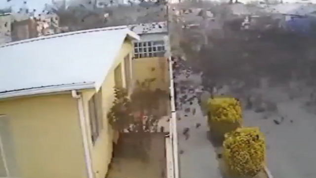 Viral video shows hundreds of birds falling to their death from sky in Mexico Viral video shows hundreds of birds falling to their death from sky in Mexico
