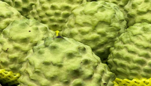 Taiwan’s divine fruit: Connecting Ramayana with Lord Buddha, drawing China’s wrath Taiwan’s divine fruit: Connecting Ramayana with Lord Buddha, drawing China’s wrath