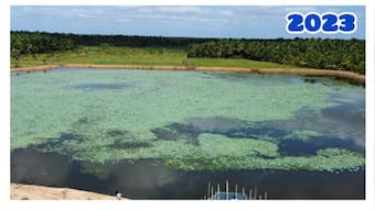 Vinayagar Lake in Tamil Nadu's Thanjavur is alive once again benefitting over 3,000 farmers