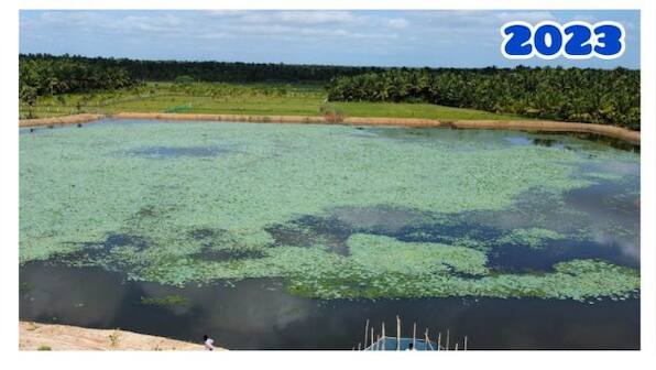 Vinayagar Lake in Tamil Nadu's Thanjavur is alive once again benefitting over 3,000 farmers