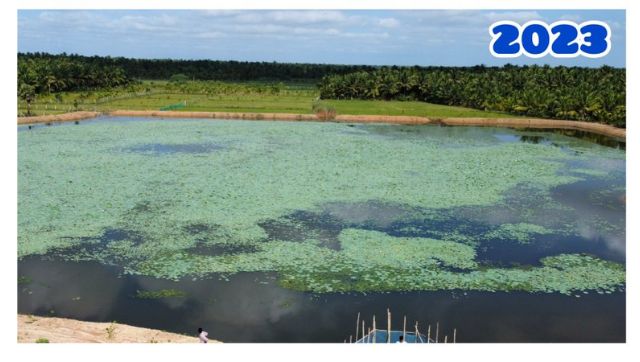 Vinayagar Lake in Tamil Nadu's Thanjavur is alive once again benefitting over 3,000 farmers Vinayagar Lake in Tamil Nadu's Thanjavur is alive once again benefitting over 3,000 farmers