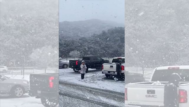 'Were you born stupid or did you work at it?': Stephen King's exchange with climate change denier goes viral 'Were you born stupid or did you work at it?': Stephen King's exchange with climate change denier goes viral