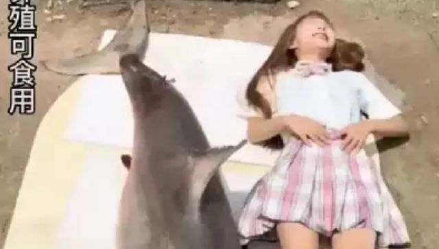 Food blogger fined $18,500 for eating great white shark in viral video Food blogger fined $18,500 for eating great white shark in viral video