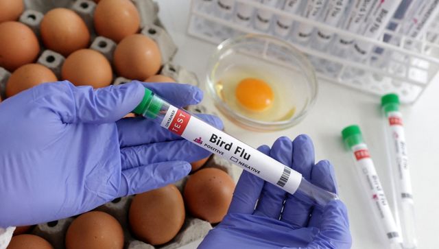 Bird flu is spreading: Is this a foreboding of the next pandemic? Bird flu is spreading: Is this a foreboding of the next pandemic?