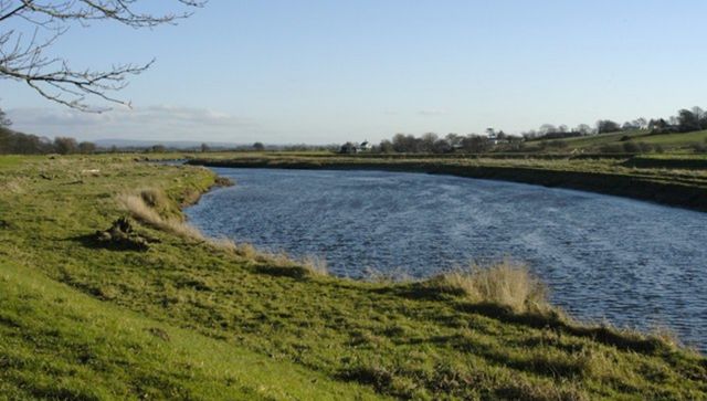 What are forever chemicals found across UK and Europe? What danger do they pose? What are forever chemicals found across UK and Europe? What danger do they pose?