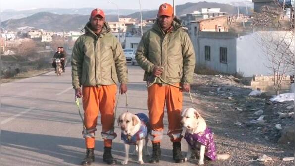 Paw-some Rescue: How India's dogs, Romeo and Julie, found 6-year-old girl in Turkey quake rubble