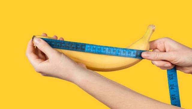 Bigger May Not be Better: The average penis size has grown. Here's why doctors are concerned Bigger May Not be Better: The average penis size has grown. Here's why doctors are concerned