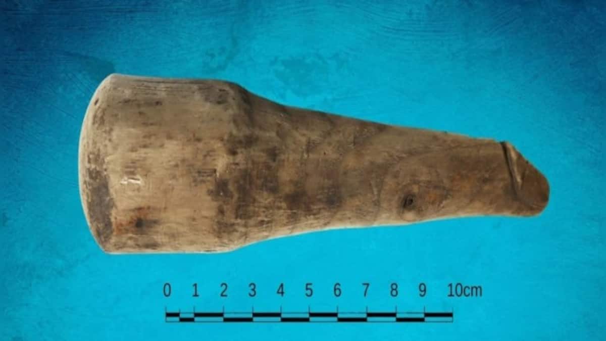 Not a Sewing Tool: Here's how researchers found the truth about Britain's  oldest sex toy  Firstpost