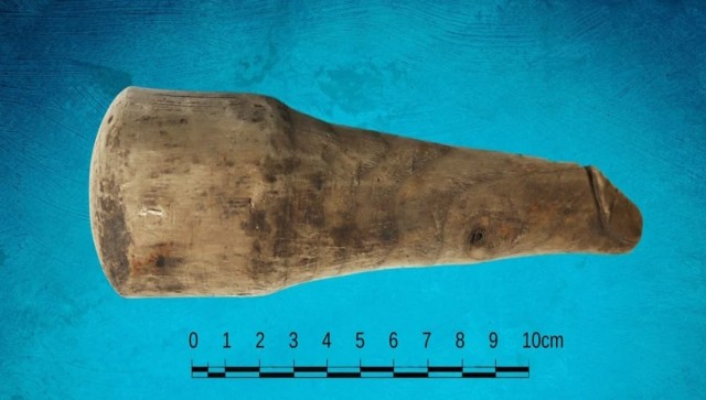 Not a Sewing Tool: Here's how researchers found the truth about Britain's oldest sex toy Firstpost Not a Sewing Tool: Here's how researchers found the truth about Britain's oldest sex toy Firstpost