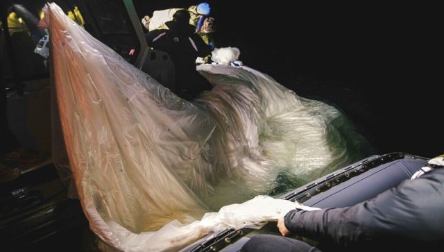 How dangerous was the Chinese ‘spy’ balloon flying over US? Did Beijing target India, other countries in the past? How dangerous was the Chinese ‘spy’ balloon flying over US? Did Beijing target India, other countries in the past?