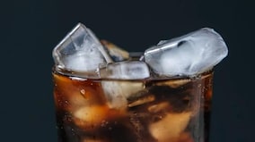 Of Mice and Men: Fizzy drinks up testosterone and testicle size of rodents in new study