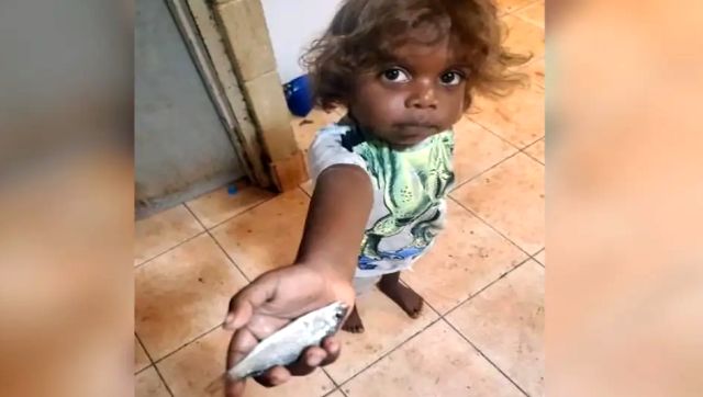 Raining Fish: Why an Australian town experienced fish falling from the skies Raining Fish: Why an Australian town experienced fish falling from the skies