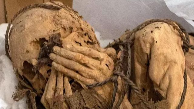 WATCH: Man carries dad's mummy in cooler bag, arrested WATCH: Man carries dad's mummy in cooler bag, arrested