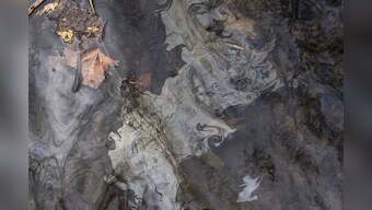 US railroad company Norfolk ordered to pay for cleanup of toxic derailment