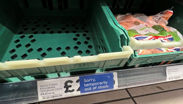 In UK, one shopper can buy only two tomatoes, two cucumbers: Why are supermarkets limiting sales of fruits, veggies? In UK, one shopper can buy only two tomatoes, two cucumbers: Why are supermarkets limiting sales of fruits, veggies?