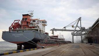 Polish government bans cheap grain, food imports from Ukraine