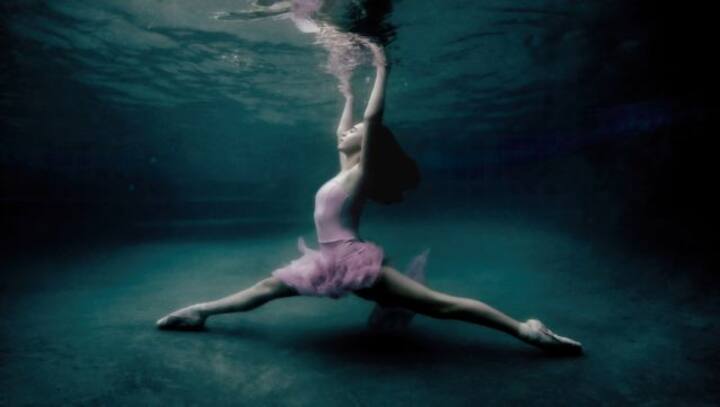 The Way of Water: The wonderful world that lives under the deep, blue seas The Way of Water: The wonderful world that lives under the deep, blue seas