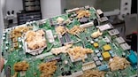 A Living PC: Scientists showcase a working demo of a PC powered by mushrooms