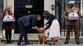 Who Let the Dog Out? How Britain's Rishi Sunak continues to break rules
