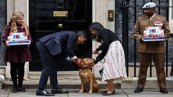 Who Let the Dog Out? How Britain's Rishi Sunak continues to break rules