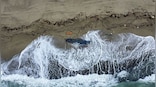 More migrants brought ashore to Italian ports as locals march for victims
