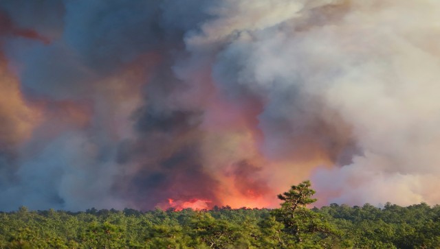 14,000 acres of forest land burn in Argentina amid heat wave, drought 14,000 acres of forest land burn in Argentina amid heat wave, drought