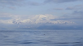 Explained: Why earthquake swarms at Alaska volcanoes are concerning