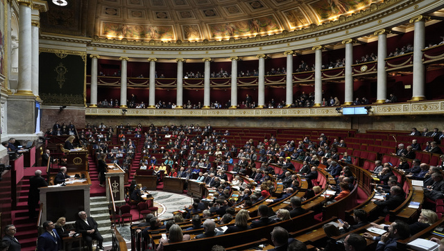 French govt survives no-confidence votes in pension fight French govt survives no-confidence votes in pension fight