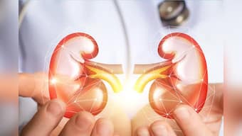 World Kidney Day: Why renal health matters to everybody regardless of age and gender