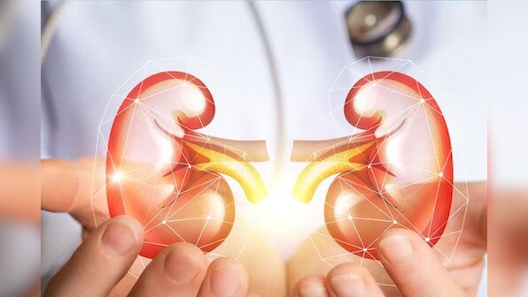 World Kidney Day: Why renal health matters to everybody regardless of age and gender
