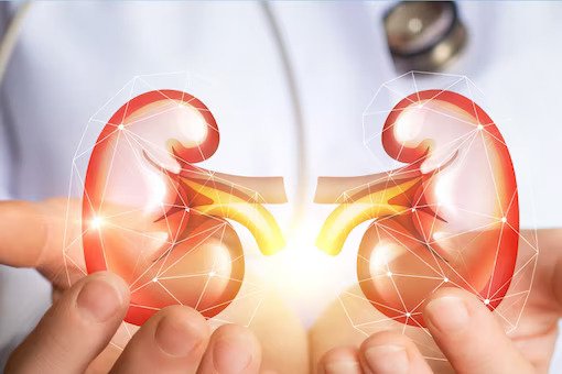 World Kidney Day: Why renal health matters to everybody regardless of age and gender World Kidney Day: Why renal health matters to everybody regardless of age and gender