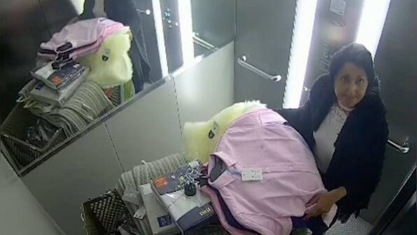 UK: Indian-origin woman take up shoplifting as 'full-time career', makes £500,000