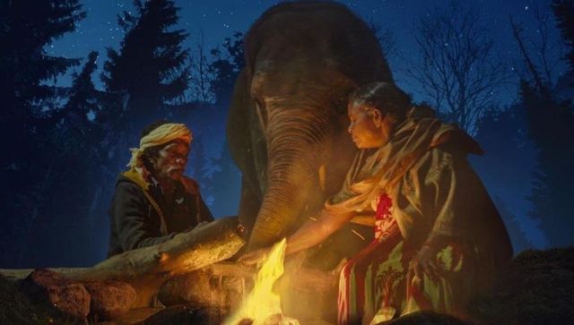 'The Elephant Whisperers' makes India proud: The story behind this Oscar-winning documentary short 'The Elephant Whisperers' makes India proud: The story behind this Oscar-winning documentary short