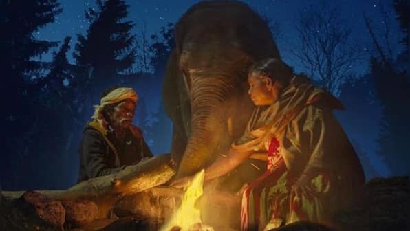 'The Elephant Whisperers' makes India proud: The story behind this Oscar-winning documentary short