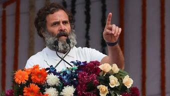 Day after disqualification, Rahul Gandhi insults journalist; asks him to wear a BJP badge