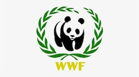 Russia lists World Wildlife Fund, other Kremlin critics as foreign agents