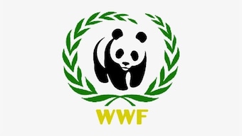 Russia lists World Wildlife Fund, other Kremlin critics as foreign agents