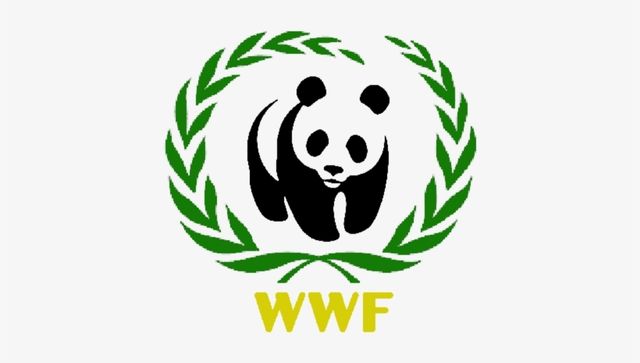 Russia lists World Wildlife Fund, other Kremlin critics as foreign agents Russia lists World Wildlife Fund, other Kremlin critics as foreign agents
