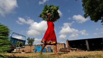 International Women's Day: A holistic approach to empower female farmers of India is a need of the hour