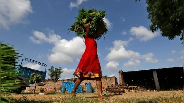 International Women's Day: A holistic approach to empower female farmers of India is a need of the hour