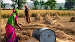 Why rural India needs a priority in women-led development