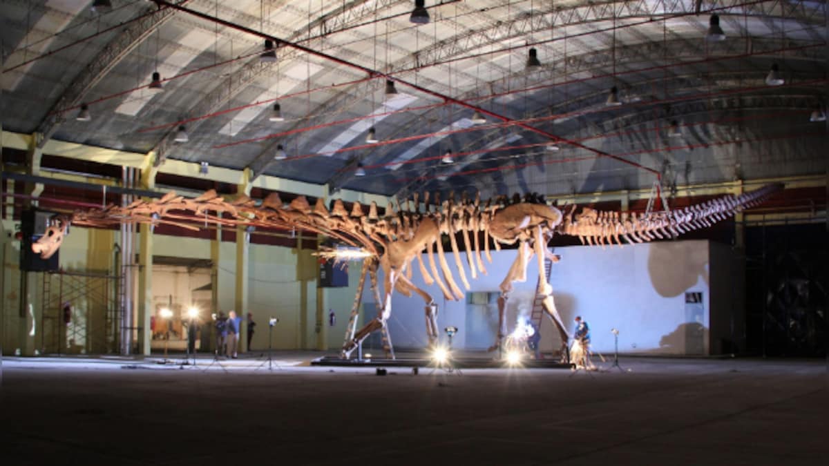 World’s largest discovered dinosaur goes on display at London's Natural History Museum